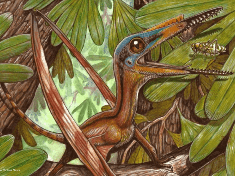 {{brizy_dc_image_alt entityId=