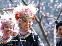 {{brizy_dc_image_alt entityId=