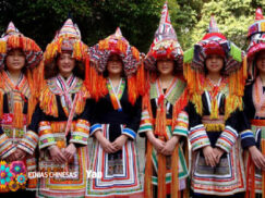 {{brizy_dc_image_alt entityId=