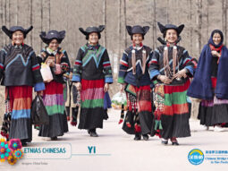 {{brizy_dc_image_alt entityId=