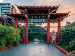 {{brizy_dc_image_alt entityId=