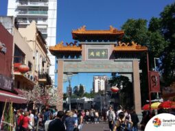 {{brizy_dc_image_alt entityId=