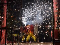 {{brizy_dc_image_alt entityId=